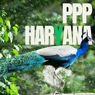 pppharyana 1 haryana roadways